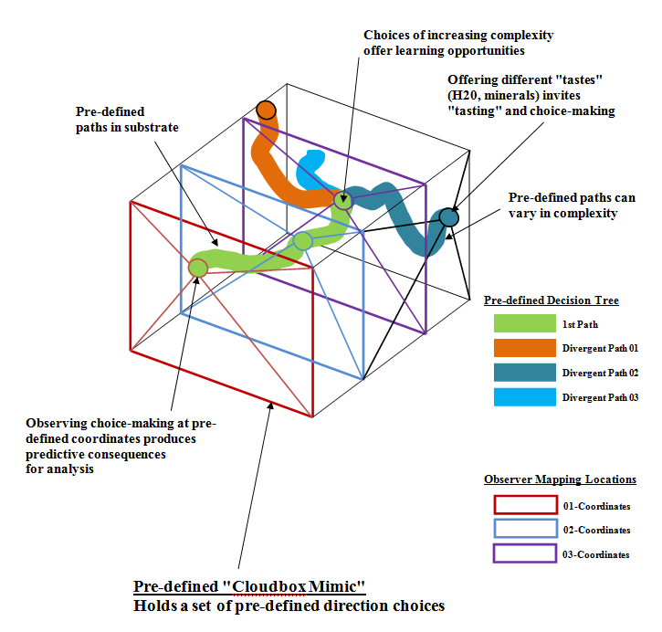 creating a cloud-box to mimic rhizome growth choices