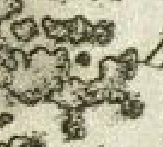 1780-des-barres-lunenburg