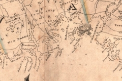 1819-Towler